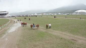 西藏羌塘草原上的赛马大赛：驭马者皆为少年