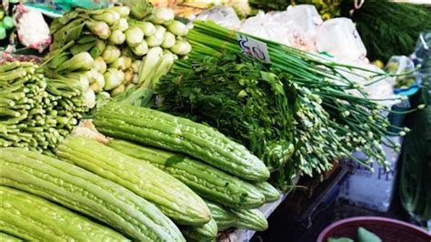 上海这2批次韭菜、豇豆农药残留超标，购买要当心！ - 分析行业新闻
