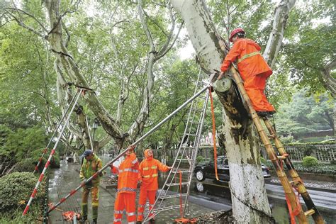 中央气象台发布台风黄色预警 最新台风路径图发布 杭州未来几天都有雨-杭州影像-杭州网