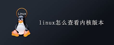 查Linux系统版本，轻松get版本信息 | 《Linux就该这么学》