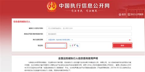 中国执行信息公开网如何查询个人信息-法律讲堂-法大大