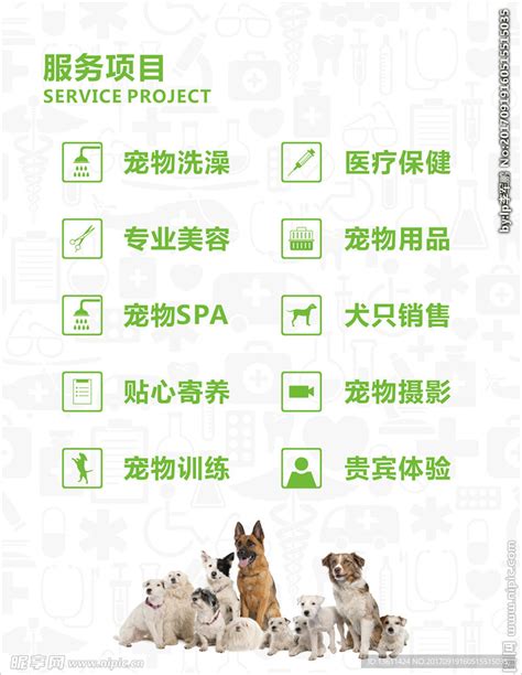 创意宠物店logo设计PNG图片素材下载_图片编号qzenljgy-免抠素材网