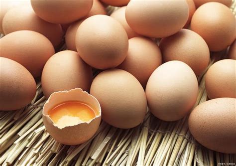 鸡蛋期货最新行情 蛋价当前仍处季节性消费淡季-鸡蛋期货-曲合期货