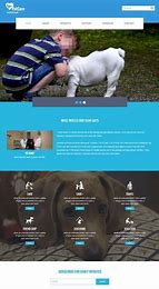 宠物店网站优化和推广计划 的图像结果