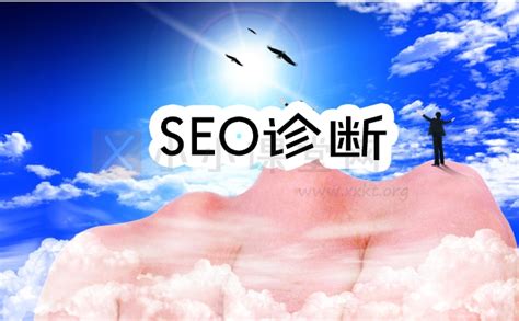 免费网站SEO诊断(天津SEO优化诊断分析)-SEO培训小小课堂
