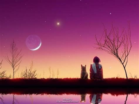 寻找一个人和一条狗一起在夜晚仰望天空的图片