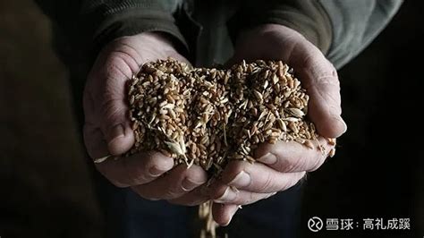 联合国粮农组织：全球粮食危机进一步加剧_新华报业网