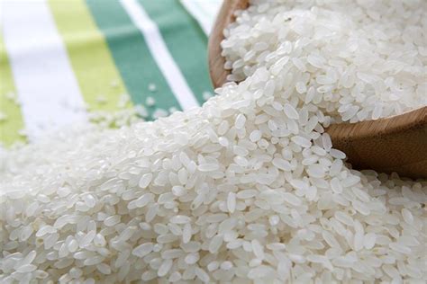 2021年新米广西上林优香大米5斤精装香米 非东北大米批发一件代发-阿里巴巴