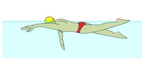 给自由泳一个强大的推动力：『有效的划水』练习 - 知乎