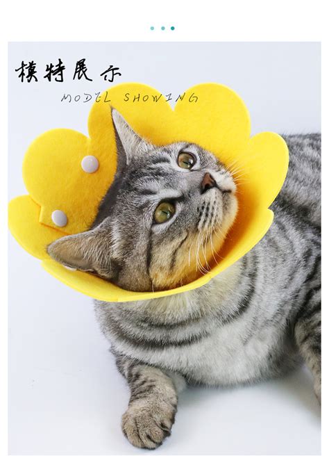 猫头套非主流头像