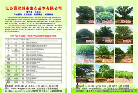 苗木销售如何找客户-致富经-中国花木网