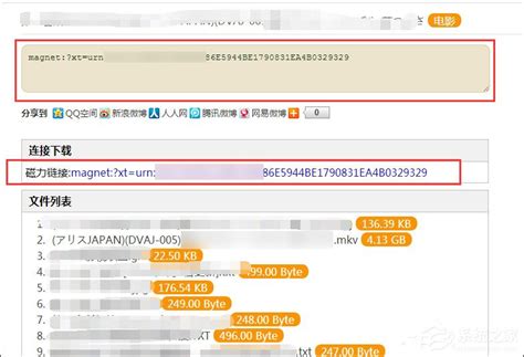 磁力链接搜索引擎怎么使用？_软件教程_清风下载网