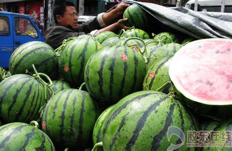 今年西瓜的价格如何？有摊主称， 由于目前本地西瓜还未大量上市，市场上售卖的外地瓜存储、运输成本高，导致价格较去年同期有所上涨。