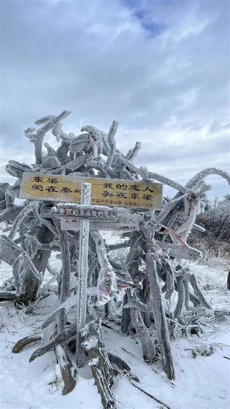 秦岭东梁-冬季雪景爬山攻略 - 知乎