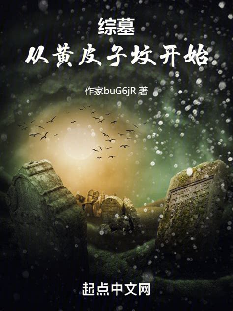 《综墓：从黄皮子坟开始》小说在线阅读-起点中文网