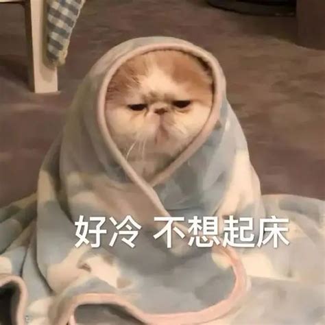 刚睡醒表情包图片