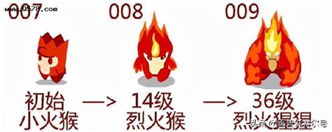 赛尔号：小火猴2009-2021进阶史！绝命火焰是小赛尔永远的信仰-王者屋