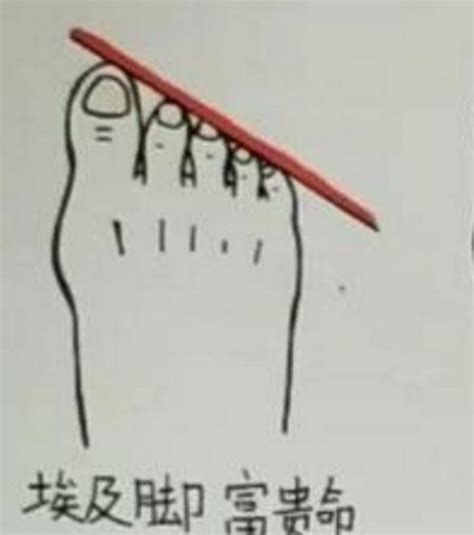 从你脚趾的长度，看你的命运如何？超准|脚趾|指头|大拇指_新浪新闻
