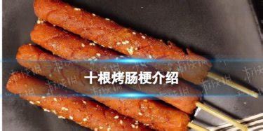 齐汇 真昕之旅原味烤肠600g（10根）优级火山石烤肠 香肠 台湾肠 肉肠-商品详情-菜管家