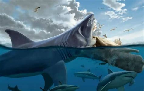 龙王鲸vs巨齿鲨谁更厉害（最强生物巨齿鲨，和海中狩猎者龙王鲸到底谁更厉害？看完就知道了） | 说明书网