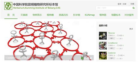 昆明植物所标本馆网站全新改版并投入使用----中国科学院昆明分院