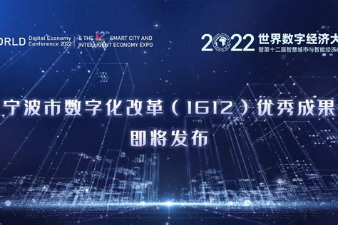 宁波发布数字政府建设"十四五"规划 数字化改革加“数”前进-中国网