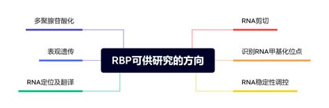 Cell Rep: 生信分析揭示RBP与癌症的关系-广州表观生物科技有限公司