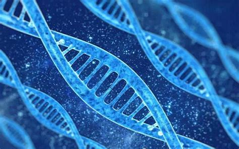 基因工程 - 熙正霖生物科技