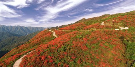 2020阳明山国家森林公园-旅游攻略-门票-地址-问答-游记点评，永州旅游旅游景点推荐-去哪儿攻略
