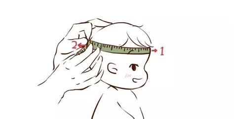 测量的头发的年轻女人生活方式免费下载_jpg格式_5760像素_编号36355526-千图网