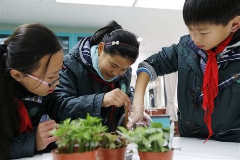 校园美化尝试“花境”种植模式_:::湖南农业大学后勤服务集团网站