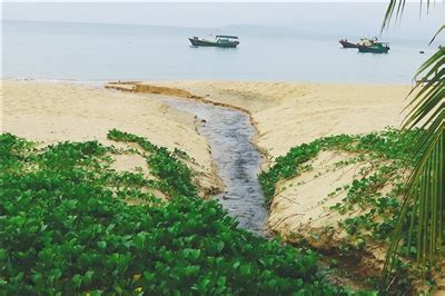 海南陵水土福湾沙滩上发现黑臭水沟 污水直排入海金滩变黑滩-国际环保在线