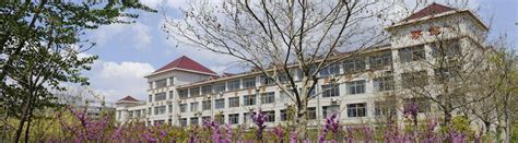 高新区未来教育体验中心与潍坊高新区智谷学校达成共建合作单位