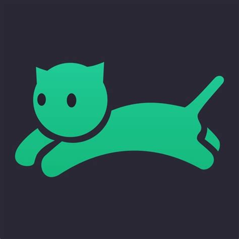 VPN cat master - express web proxy - AppRecs