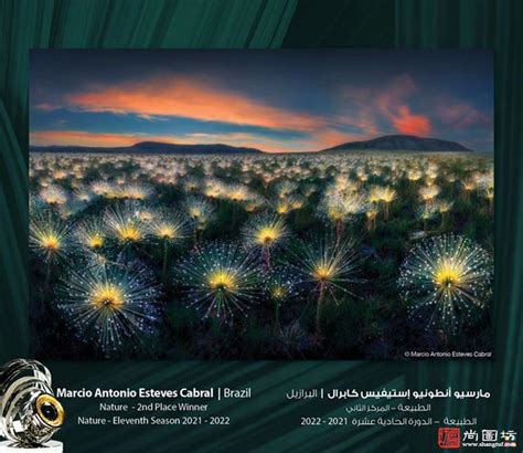 2021年第十一届阿联酋迪拜哈姆丹国际摄影大赛揭晓 尚图坊国际摄影-尚图坊影像