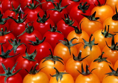 高清晰新鲜西红柿水果蔬菜壁纸
