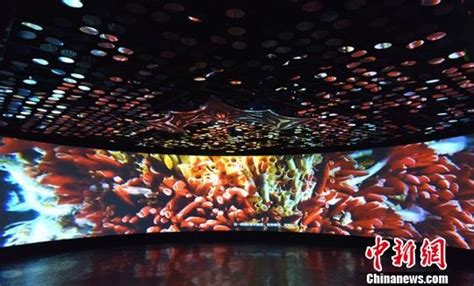 深海所启动周六公众开放活动----中国科学院深海科学与工程研究所