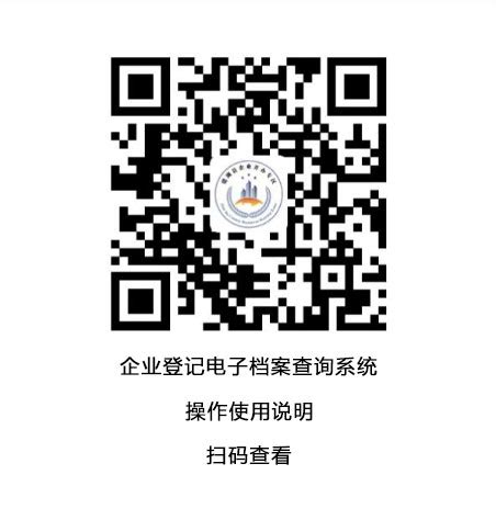 建湖县政务服务网 企业档案网上查询系统