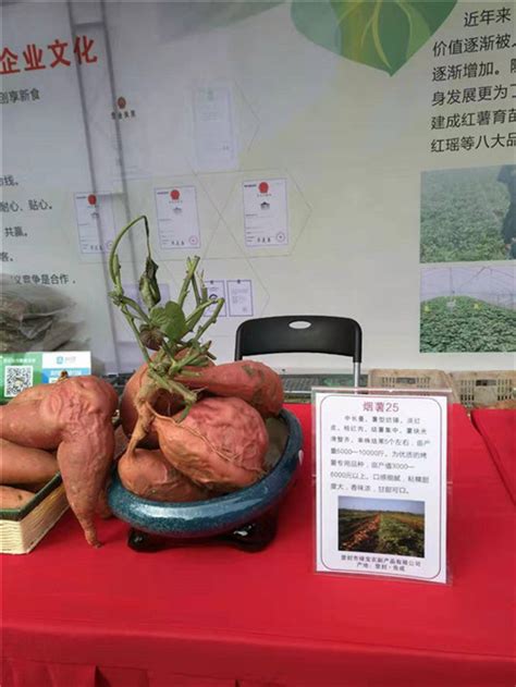 对口帮扶爱心红薯在深圳大学食堂热卖 深大学子吃到“有故事”的红薯_深圳新闻网
