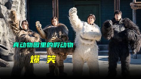 秘密动物园：动物园经营不善，导致动物都成精了_电影_高清1080P在线观看平台_腾讯视频