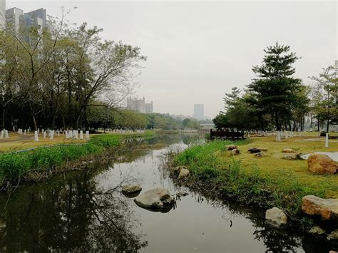 广州——南沙区：蕉门公园（5） 第4页-中关村在线摄影论坛