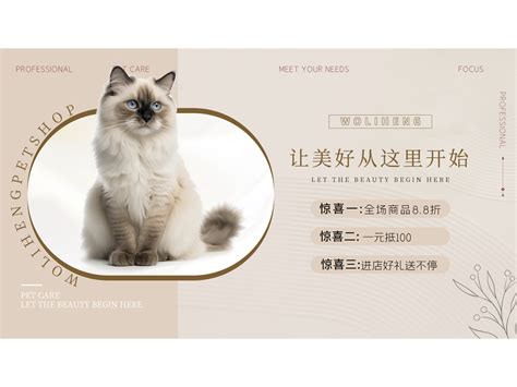 宠物用品 海报 可爱风格_Miya_Design-站酷ZCOOL