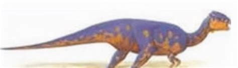 古生物学家在中国发现最小的剑龙脚印！_凤凰网历史_凤凰网