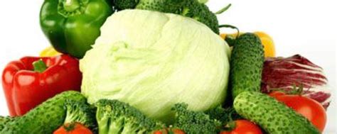 夏天常见的野菜有哪些（盘点农村夏天常见的100种野菜去毒又去湿气）-蓝鲸创业社