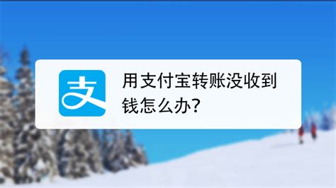 别人支付宝转账给我怎么没收到-百度经验