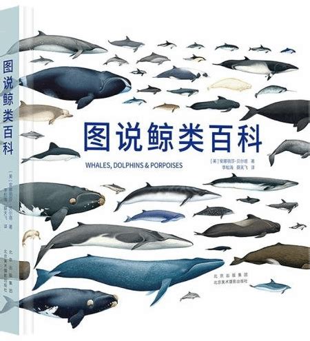 《图说鲸类百科》：遨游壮丽的鲸鱼世界 - 传播传统文化 提倡精神健康
