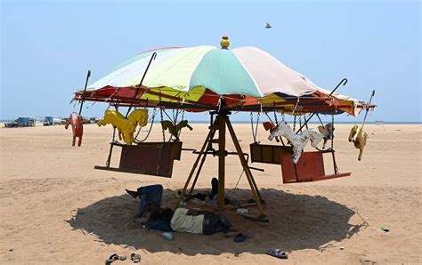 最高气温夏天来袭 65%的印度平民正饱受40℃热浪的煎熬-国际环保在线