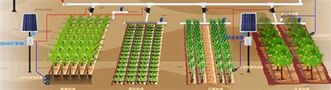 校园智慧农场项目介绍-杭州立体农业开发有限公司