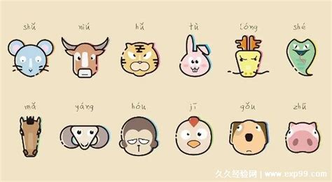 十二生肖排序表图图片 十二生肖排序表图图片