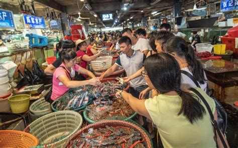 广东哪个城市海鲜最好吃？必选的5个城市 告诉你什么是真正的海鲜_湛江